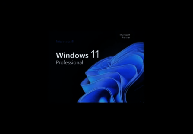 Windows 11 Feature Image