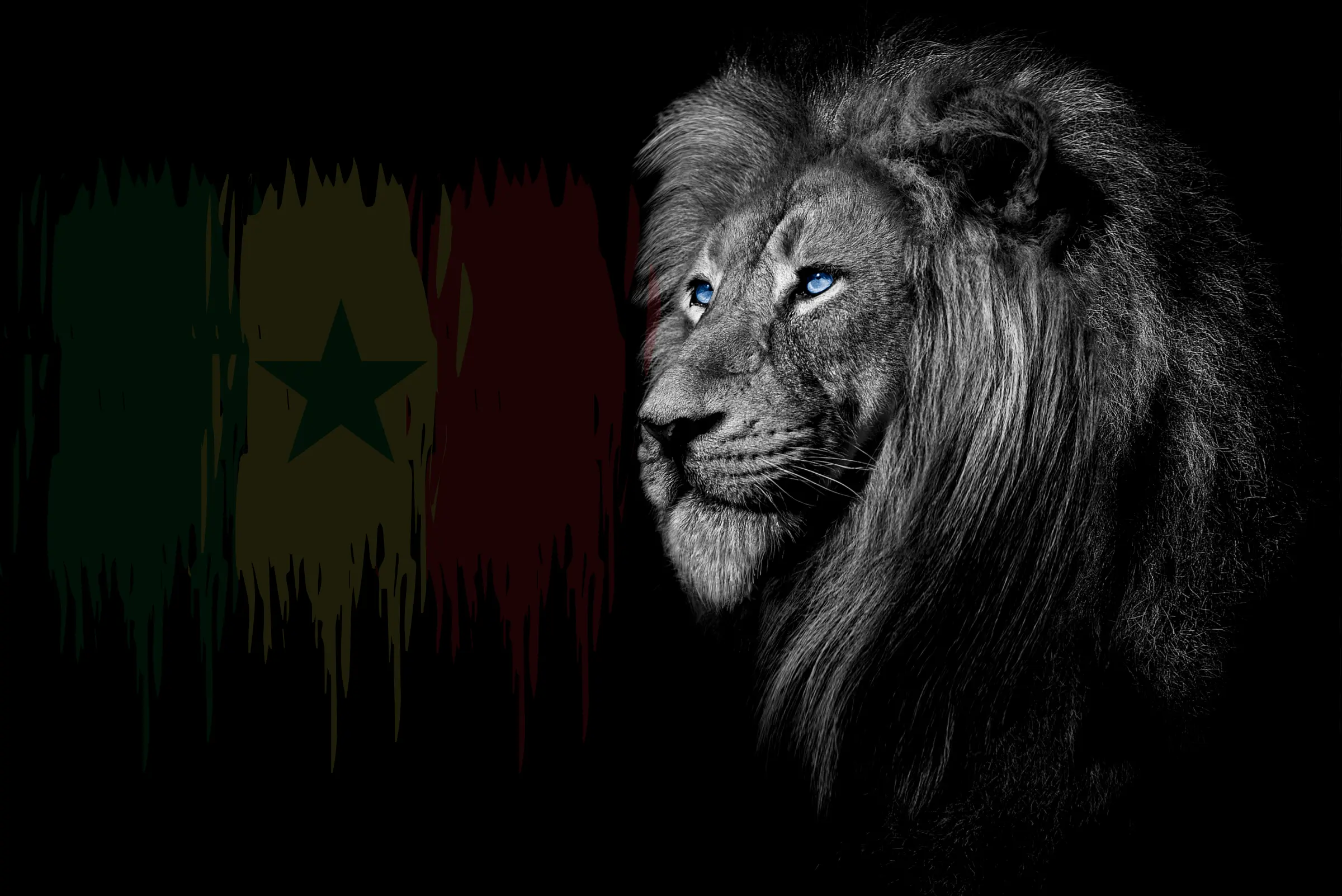 Copie de img a propos (800 x 621 px) (8)